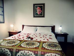 Cama ou camas em um quarto em Pousada Bonani