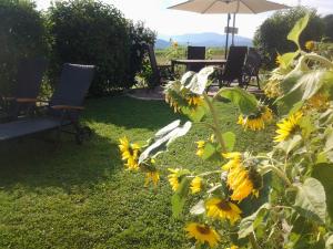 um jardim com girassóis e cadeiras e um guarda-sol em Ferienwohnung-Hajek em Sankt Ruprecht an der Raab