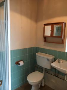 Muckross School House tesisinde bir banyo