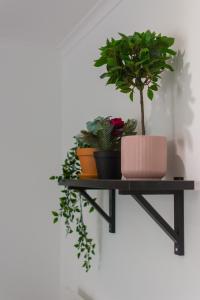une étagère avec des plantes en pot sur un mur dans l'établissement Allfado Apartments, à Lisbonne