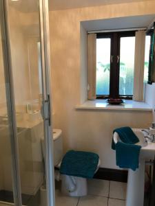 ein Badezimmer mit Toilette und Waschbecken und einem Fenster in der Unterkunft Sedbury Farm Cottages in Chepstow + 9 Fotos