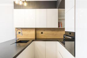 Kuchnia lub aneks kuchenny w obiekcie Fabulous apartment in heart of Katowice