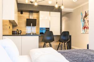 Kuchyňa alebo kuchynka v ubytovaní Fabulous apartment in heart of Katowice