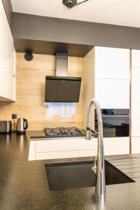 Kuchnia lub aneks kuchenny w obiekcie Fabulous apartment in heart of Katowice