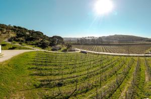 Afbeelding uit fotogalerij van Casa Rústica, perto do Castelo de Óbidos in Óbidos