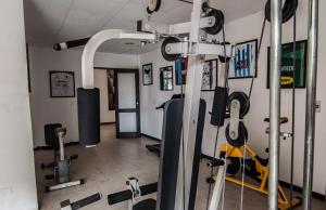 una habitación con un gimnasio con máquinas de correr en Hathor Hotels Mendoza, en Mendoza