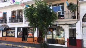 um edifício com uma árvore em frente em Jet's Gay Youth Hostel em Puerto Vallarta
