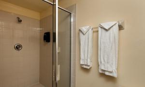 a bathroom with a shower stall and a towel rack at Bridgewalk, a Landmark Resort in Bradenton Beach