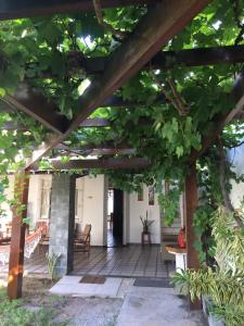 Un patio con un montón de hojas verdes. en Luz & Mar, en Aracaju