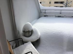 Nice Apartment private host Engelberg v zimě