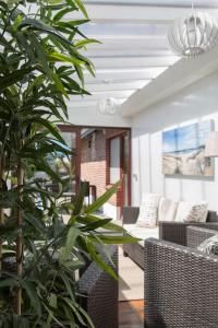 a living room with chairs and a plant at Traumlage-Maasholm in Maasholm