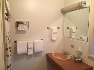 een badkamer met een wastafel, een spiegel en handdoeken bij Mansion House Motel in Buffalo