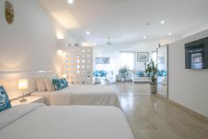 Gallery image of El Cactus Luxury Apartments in Historic Center in Santa Marta