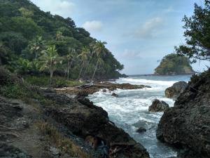 旅舍周边自然景观