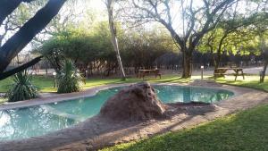 a small pool with a tree stump in a park at Chinaka Game Lodge in Vivo