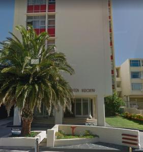 a palm tree in front of a building at Modern rooms available close to the beach in Humewood in Port Elizabeth