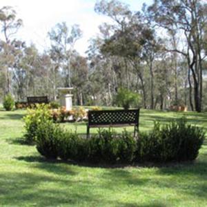 
a park bench sitting in the middle of a lush green field at Hill Top Country Guest House in Lovedale
