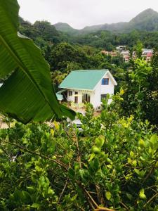 a white house with a green roof in the forest at Loversnest Self Catering in Anse aux Pins