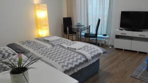 sypialnia z łóżkiem i telewizorem w obiekcie Apartment Brno centrum with private parking w mieście Brno
