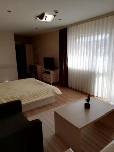 een slaapkamer met een bed, een tafel en een televisie bij Heat Complex Family Hotel in Peshtera