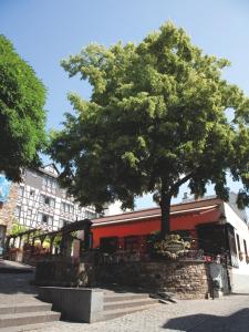 a tree on the side of a building with a tree at Hotel Felsenkeller in Rüdesheim am Rhein
