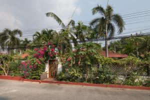 Zahrada ubytování Siri Villas Pattaya