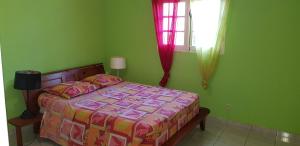 een slaapkamer met een bed in een groene kamer bij La Belle Créole in Sainte-Anne +153 foto's