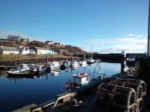 a group of boats are docked in a harbor at Song of the Sea, Selkie House in Helmsdale