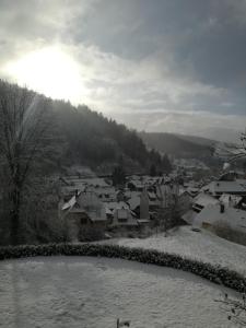 トートモースにあるHotel La Quinta - adults onlyの雪に覆われた町