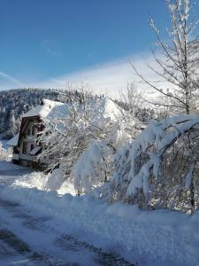 トートモースにあるHotel La Quinta - adults onlyの雪に覆われた木々と茂みに覆われた家