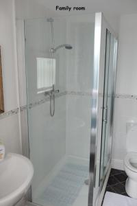 a bathroom with a shower and a toilet at Welsh Cosy Apartments in Llandudno