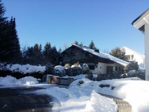 Schwarzwald - Villa Appartments Titisee през зимата