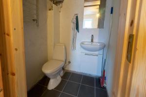 a small bathroom with a toilet and a sink at Understedvej 103 in Sæby