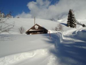 Pension-Greimelbacherhof talvel