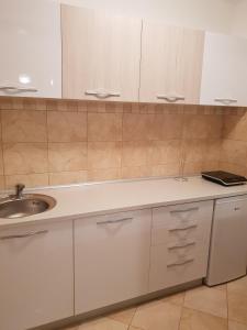 Kuchyň nebo kuchyňský kout v ubytování Apartman KEJ free parking + 12 fotografií