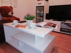 Televízia a/alebo spoločenská miestnosť v ubytovaní Apartman Radic