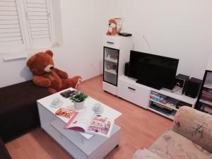 Televízia a/alebo spoločenská miestnosť v ubytovaní Apartman Radic