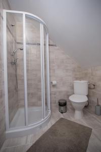 uma casa de banho com um chuveiro e um WC. em Apartment Jenny em HoÅ¡Å¥ka