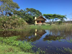 a house with a view of a pond at La Ranita Negra in La Paloma