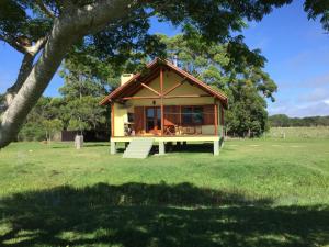 una casita en un campo con un árbol en La Ranita Negra, en La Paloma