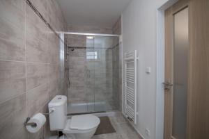 a bathroom with a white toilet and a shower at apartment Dana in HoÅ¡Å¥ka