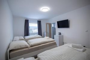 a bedroom with three beds and a flat screen tv at apartment Dana in HoÅ¡Å¥ka