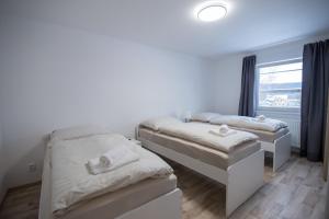 2 Betten in einem Zimmer mit Fenster in der Unterkunft apartment Dana in HoÅ¡Å¥ka