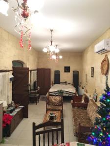 a living room with a christmas tree in it at Amalia Panorama House in Zanaja