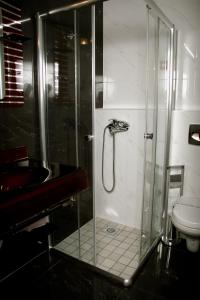 a bathroom with a shower with a sink and a toilet at Hotel Hamburg in Skopje