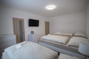 Postel nebo postele na pokoji v ubytování Apartment Tereza