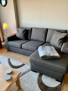 a living room with a grey couch and a table at Residentie Mariposa in Knokke-Heist