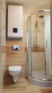 吉波瓦的住宿－Domki Kamila，一间带卫生间和玻璃淋浴间的浴室