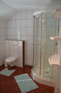 a bathroom with a shower and a toilet at Ferienhaus Spreewiese in Schlepzig
