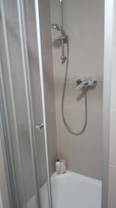 W łazience znajduje się prysznic ze szklanymi drzwiami. w obiekcie Apartment Brno centrum with private parking w mieście Brno